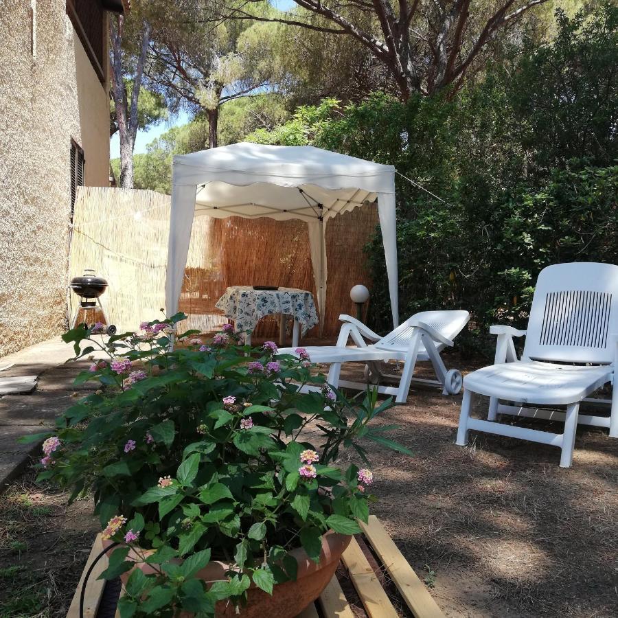 Oleandri Calaverde Sardegna Iun P1641 Pula Exterior foto